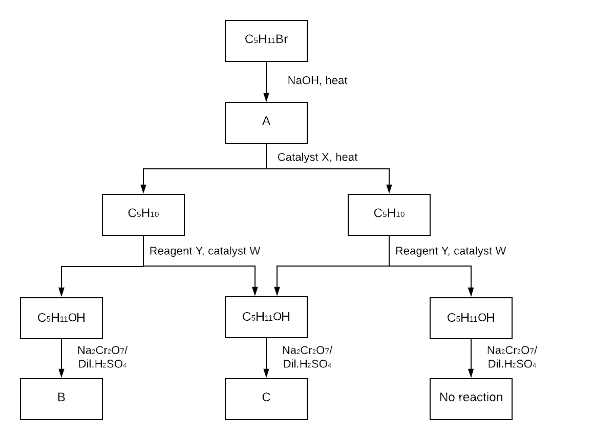HSC Chemistry Questions on 'Organic Chemistry' - Reaction Pathways