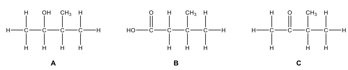 Module 7 'Organic Chemistry' - Structural Formula