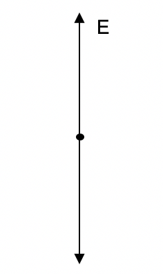 Glossary of Year 12 Physics Terms - Linearly Polarised Beam of Light