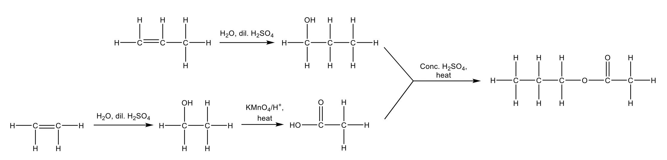 Y12 Chemistry Organic Reaction Pathway