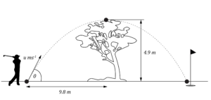 HSC Physics Module 2 Practice Question - Projectile Motion