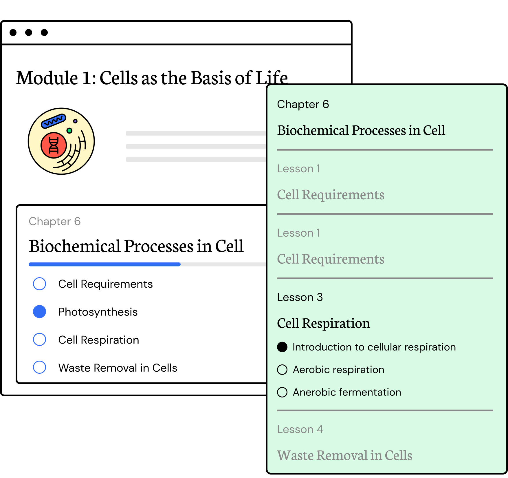 Year 11 Biology | All-in-one, Interactive Resources by Learnable